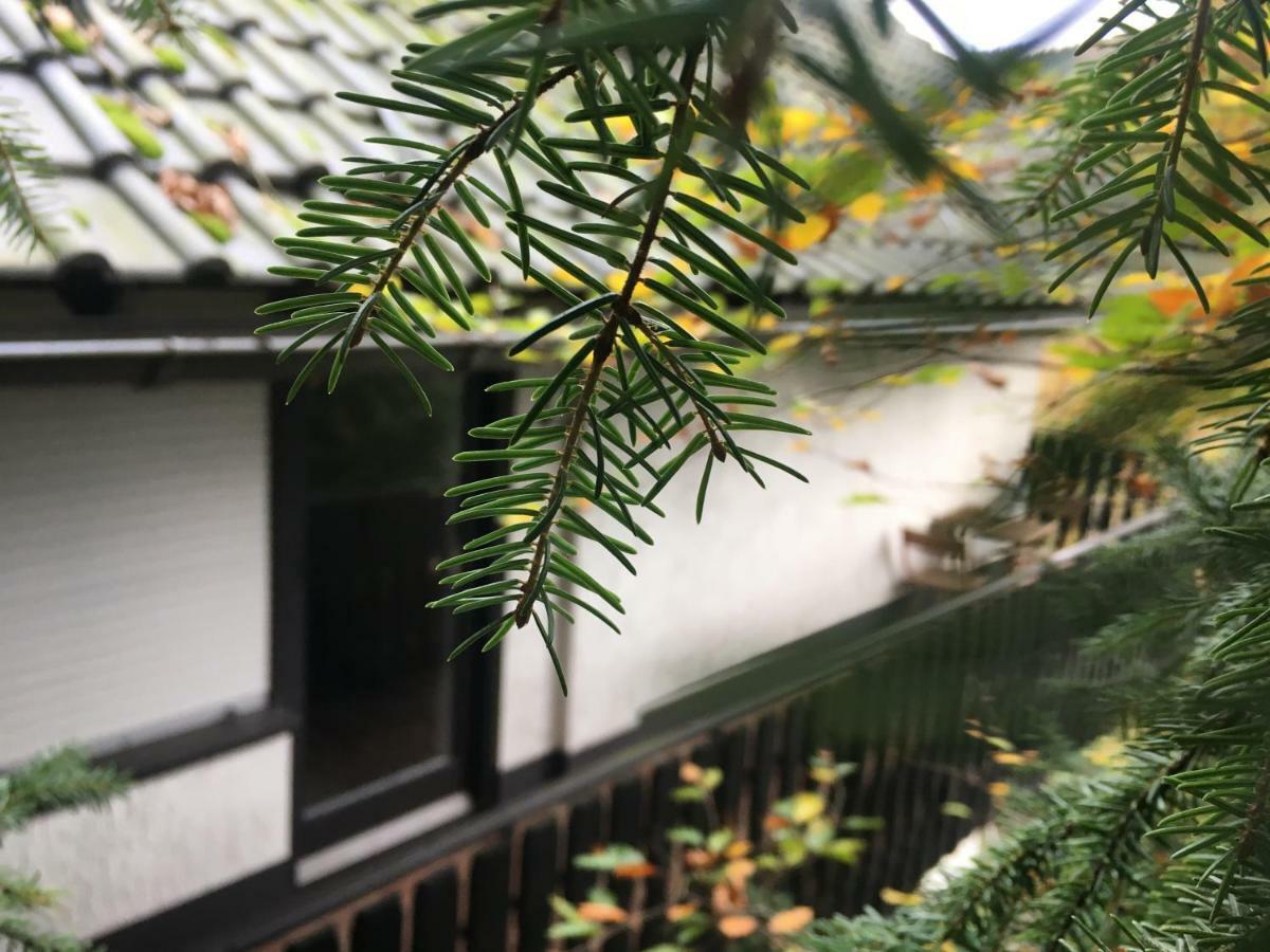 Sauerland Vakantiehuisje Diemelsee 外观 照片